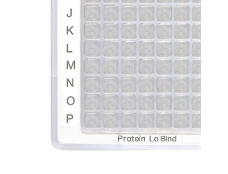 Eppendorf LoBind 低蛋白吸附板